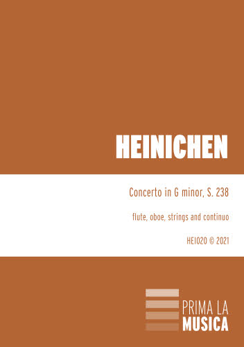 HEI020 Concerto in G minor, S. 238